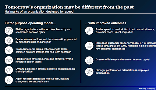 organization model